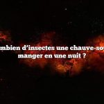 Question : Combien d’insectes une chauve-souris peut-elle manger en une nuit ?